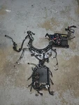 Yamaha Wire Harness Assy, Outboard 2008-2010 F250, Freshwater, Wty!. Fixed Price $224.99.