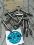 2007 Evinrude E-tec Injector Bolts Qty 12 Pn 0353559,. Fixed Price $47.14.