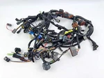 Yamaha 300 Hp Stroke Outboard Wire Harness Assembly 6D0-82590-22-00. Fixed Price $199.95.