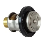 Thermostat For Suzuki Marine Outboard Engines 17670-93962 DE40 20 25 30 55HP. Fixed Price $28.00.