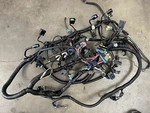 *6 Month Warranty* Mercury Verado Wiring Harness 8M0102454. Fixed Price $319.99.