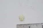 Nos Oem Genuine Omc Johnson/evinrude Throttle Carb Link Retainer 313329, 0313329. Fixed Price $6.17.