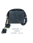 62Y-02 Mercury Engine Control Ecu Coil Computer Power Pack Igniter 40 50 Carb. Fixed Price $225.94.