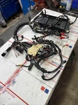 Mercury Optimax 225 Engine Harness 84-850385A7. Fixed Price $599.00.