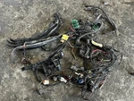 225 Hp Yamaha 69J-8259N-10-00 Wire Harness Electrical Four Stroke 03-05. Fixed Price $325.00.