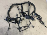 Oem Mercury Dts 200-300HP V8 Engine Harness Part# 8M0142260. Fixed Price $427.49.