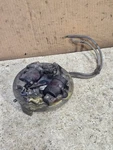 Vintage 1946-48 Johnson KD-15 9.8HP Outboard Boat Motor Magneto Plate Assembly. Fixed Price $12.00.