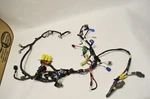 Yamaha Outboard 2005 4STROKE 60HP Wiring Harness 6C5-82590-30-00 (A14-2). Fixed Price $450.00.