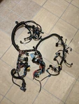 2008 Mercury 225HP Engine Harness Assembly. Fixed Price $575.00.