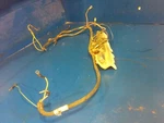 F510460 F5H043 FA510497 Block Harness Force Chrysler 1207HC 120HP. Fixed Price $59.00.