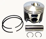 Piston Kit Johnson 200 250 Hp 3.3L E-tec 04-14 Std 3.854" 100-136PK 100-136SK. Fixed Price $119.39.
