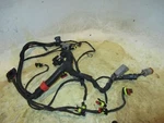 Evinrude Etec 25HP Stroke Outboard Engine Wiring Harness (587061). Fixed Price $120.00.
