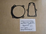 982132 Omc /evinrude Johnson Marine Nos Gearcase Gasket Assembly CA7. Fixed Price $8.99.
