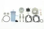Maintenance Service Kit For Suzuki DF9.9B DF15A DF20A 2013+. Fixed Price $90.49.