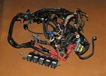 Mercury Hp Verado 4 Stroke Wire Harness Assembly Pn 892579A06 Fits 2006-2007. Fixed Price $227.50.