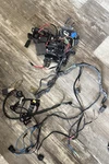 Yamaha OX66 Wire Harness Assy 67H-82590-10-00 W/fuse Box And Regulator & Sensors. Fixed Price $115.19.