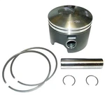 Wsm Johnson / Evinrude 75-175 Hp Ficht Piston Kit 100-133 Oem 5000813, 5006728. Fixed Price $118.30.