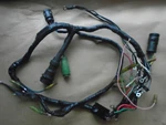 Yamaha Outboard Wire Harness Assembly 6G5-82590-00-00. Fixed Price $120.00.