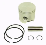 Wsm Piston Kit Mercury / Mariner 45 60 Hp 91-97 Std 100-07K, 783-9613A1. Fixed Price $88.79.