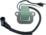 Fits Johnson Evinrude Ignition Coil 9.9 15 Hp 1974-1976 502880 581407 18-5196. Fixed Price $23.99.