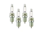 Accel 0416S-4 Hp Copper Spark Plug Shorty. Fixed Price $47.13.
