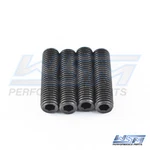 Precision Trim Cylinder End Cap Remover Pins Johnson / Evinrude 983-409P. Fixed Price $14.97.