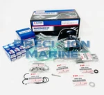 DF250A/300(A)/250S Suzuki Maintenance Kit 17400-98862. Fixed Price $268.66.