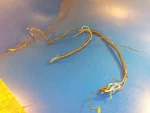 Harness 823392A Wire Wiring Mercury Force 70HP 708F91B (21 Ooo). Fixed Price $22.05.