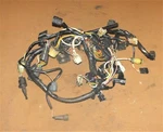 Johnson 40 Hp Stroke Wiring Harness Assembly Pn 5033256 Fits 2003. Fixed Price $70.00.