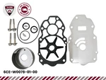 6CE-W0078-01-00 Fits Yamaha Outboard 225 250 300 Hp Water Pump Repair Kit. Fixed Price $115.00.