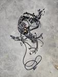 Mercury Oem Harness-engine 878084T3. Fixed Price $72.19.