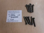 10-859096, 8M0045380 Mercury 2003 Opti 200XL 0T749646 Head Screw (10) 8X50 T163. Fixed Price $19.99.