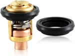 High-quality Thermostat With Gasket For Johnson Evinrude Outboard Motors. Fixed Price $26.95.