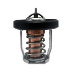 Suzuki Outboards DF8A 9.9 15 20 30A Thermostat 17670-94J00 / 01 5036226. Fixed Price $23.99.