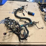 Brp Evinrude E-tec Etec 200 225 250 300 Hp Engine Wire Wiring Harness 0587041. Fixed Price $125.00.