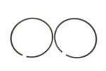 Aftermarket 39-815515A12 Piston Rings Qty Nos. Fixed Price $28.99.