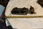 Mercury 65 Hp 3 Cylinder Carbs Carburetor Choke Plate And 60120. Fixed Price $29.99.