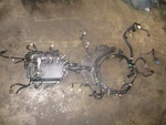 Yamaha 250HP 4 Stroke Outboard Engine Wiring Harness (6P2-82590-20-00). Fixed Price $250.00.