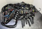 880616T05 880615T01 Wiring Harness Coils Mercury 225XL Verado. Fixed Price $200.00.