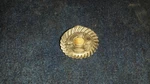Nos Omc Johnson/ Evinrude Lower Unit Forward Gear 393327, 0393327. Fixed Price $24.95.
