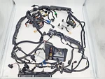 Yamaha Oem F350 Outboard Wire Harness Assy 6AW-82590-00-00. Fixed Price $189.00.
