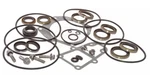 Johnson Evinrude 150-175-200-225-250 Seal Kit Lower Unit Gearcase 5006373 439141. Fixed Price $44.99.