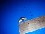 Lub Fitting 0319253 For Manifold 396394 Johnson Evinrude 150HP. Fixed Price $9.00.