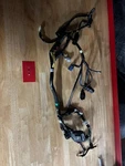 New 2026 Yamaha YZ250F Oem Electrical Wiring Harness Complete D01-82590-00-00. Fixed Price $229.00.