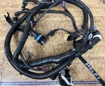 *6 Month Warranty* Mercury Wiring Harness Assembly 8M0044999. Fixed Price $119.99.