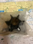 Quicksilver #47-89984T4 Impeller.. Fixed Price $35.25.