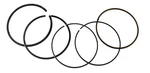 Namura Standard Bore Piston Rings For Yamaha 660 Raptor, Grizzly & Rhino 100MM. Fixed Price $22.95.