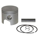 Piston Kit 0393566 Omc Evinrude Johnson Outboard Standard Port. Fixed Price $64.95.
