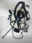 2018 Evinrude 50HP Etec Stroke Outboard Engine Wiring Harness (586972). Fixed Price $72.03.