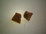 Evinrude/johnson/omc Quantity Two Of #308239 Filters, Free Freight. Fixed Price $14.95.